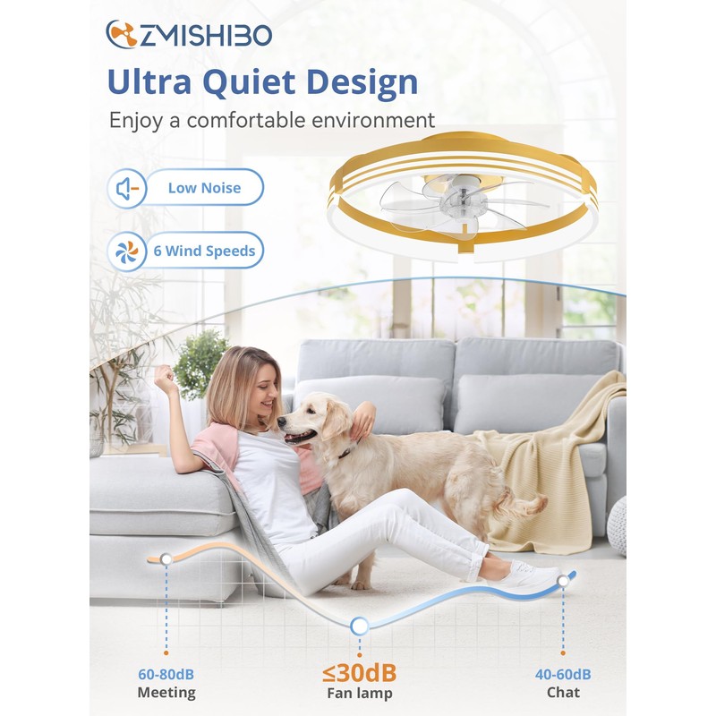 ZMISHIBO Low Profile Ceiling Fans with Lights and Remote, 20