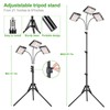 LBW Grow Light with Stand, Tri-Head LED Plant Light for