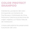 Duo Shampoo Y Acondicionador 1lto Color Protect Framesi