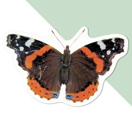 Medium 100mm 'Red Admiral Butterfly' Permanent Sticker Decal for Cars/Windows/Bins/Walls etc (DW00097161)