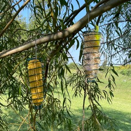 Backyard Essentials Corn Caddy Squirrel Feeder, Metal Holder for Corn, Fruit Slices, Suet, or Nesting Materials, Hanging Corn Holder for Squirrels [Pack of 2]