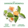 Herbal Essences Shampoo Seco Herbal Bío renew Grape Fruit Mosa