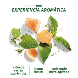 Herbal Essences Shampoo Seco Herbal Bío renew Grape Fruit  Mosa Mint 140gr