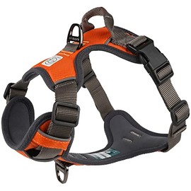 Embark Adventure Dog Harness No-Pull Dog Harnesses for Small Dogs, Medium & Large. 2 Leash Clips, Front & Back with Control Handle, Adjustable Orange Dog Vest for Any Breed, Soft & Padded for Comfort