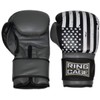 Ring to Cage Gym Training Stand-Up Boxing Gloves - USA.