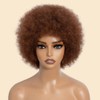 JOEDIR HAIR 70s Afro Wig Unisex Human Hair Wigs Afro