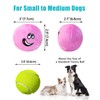TONGKTAI Dog Toys Squeaky, 3' Soft Plush Stuff Funny Ball