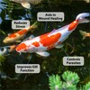 CrystalClear ParaSalt - Pond Salt for Koi & Goldfish -