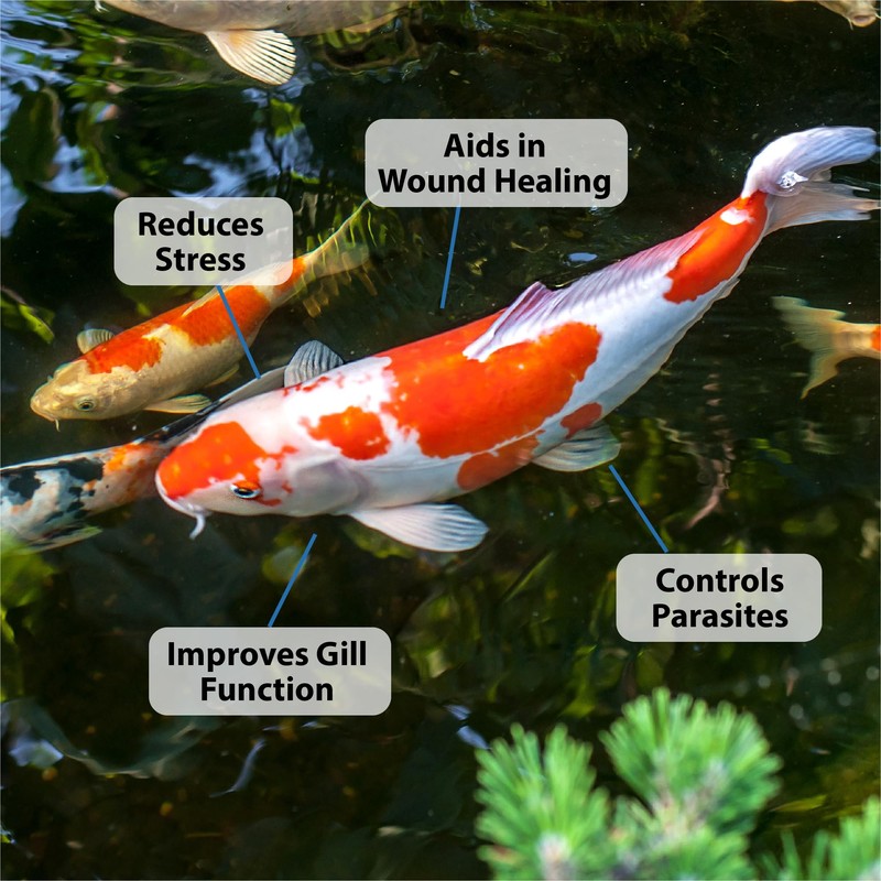 CrystalClear ParaSalt - Pond Salt for Koi & Goldfish -