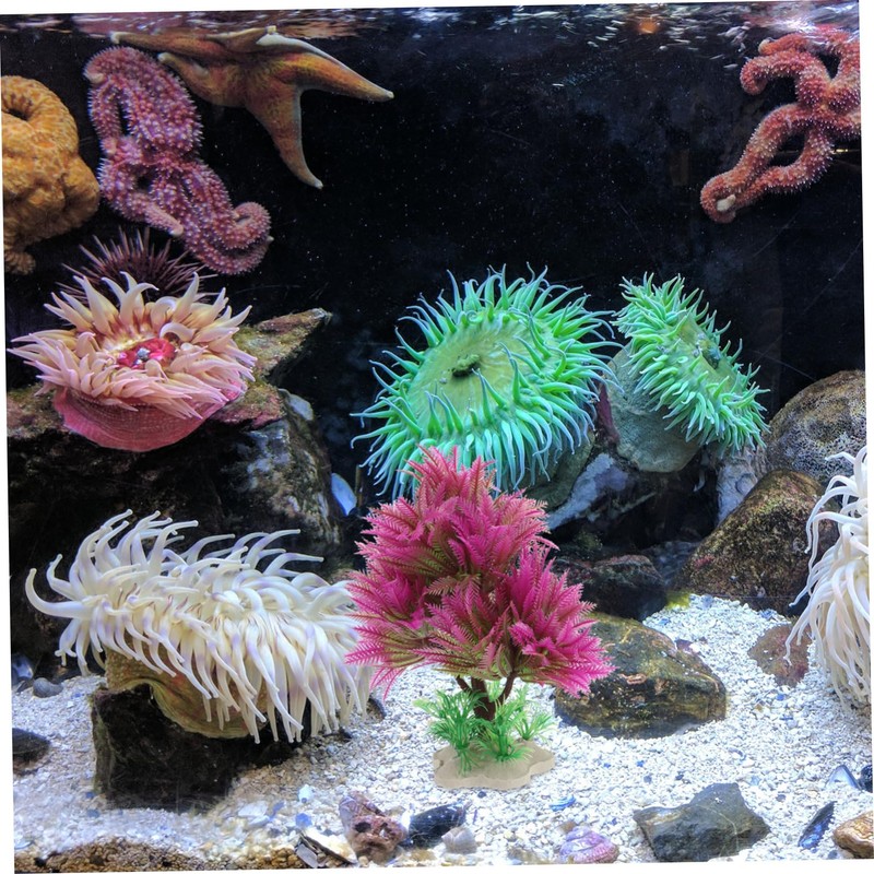 BESPORTBLE Enhance Your Aquarium Safe Plastic Artificial Water Plants Fish