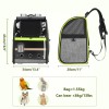 Pecute Bird Carrier Backpack, Parrots Bird Backpack with Visible Window,