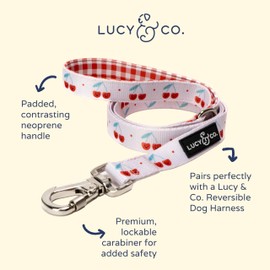 Lucy & Co. Cheery Cherries - Designer Dog Leash for Small to Large Dogs - Padded Handle for Comfort - Small, Red Gingham Cherries - 5 Foot