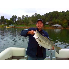 4.5" RF Gillman Glide Bait Bass Musky Striper Fishing Big Lure Multi Jointed Shad Trout Kits Slow Sinking or Floating (Tilapia, Sink)