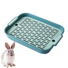 Granmagazz Rabbit Litter Box With Grate, Guinea Pig Potty Trainer