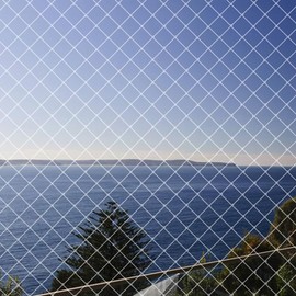 Bird Blocking Net for Balconies, Crows & Dove Countermeasures, Bird Net, Fruit Trees, Vegetable Cultivation, Beast Barrier Net, Cat Intrusion and Escape Prevention, Size: 8 ft 2 inches x 16 ft 5 inches (2.5 x 5 m), Color: Transparent (Includes 15 Cable Ties)