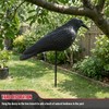 VicBre 6 PCS Crow Decoys Half Shell with Plastic Stake