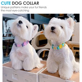 Waterproof Dog Collars-Easily Protect Your pet from Moisture and Dirt by Adjusting The Size to Suit Medium, Large, and Small Dogs (XL, Green)