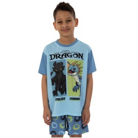 How To Train Your Dragon Boys Pajamas, Toothless Boys Pjs, Dragon Summer Pjs For Kids, Blue 10