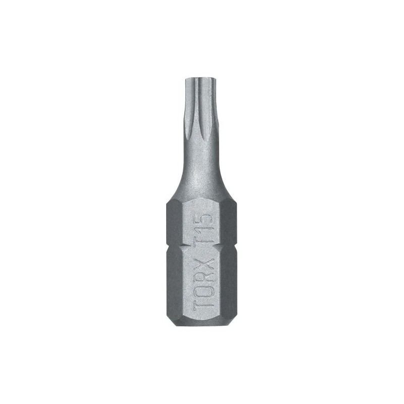 DEWALT DW2012 #12 Slotted Bit Tip (2-Pack)