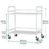 HDANI 2 Tier Under Desk Printer Stand with Storage,Microwave Storage