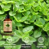 Wuvezrub Marjoram Essential Oils 120ML, Pure Marjoram Essential Oil for