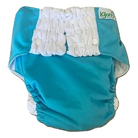 7-12 Years Aqua Blue Night Time Washable Cloth Pull Up XXL