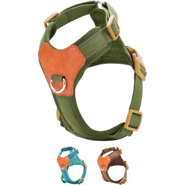 Green Small No Pull Dog Harness for Small Dogs, Anti-Escape Easy Walk Puppy Harness with 2 Leash Clips, Adjustable Dog Vest Harness for Training Walking(Green, S)