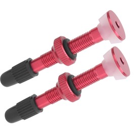 Dilwe Tubeless Valve Stem, 1 Pair Mountain Bike Tubeless Air Valve Stem Alloy Presta Valve Extender Accessories (Red) Bicycles & Accessories