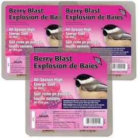 Heath Berry Blast Suet Cakes Sample Pack, Contains 3 Suet Cakes, Try It, Your Birds Will Love it, for Woodpeckers, Cardinals, Siskins, Sparrows, Finchs & Many More Wild Bird Species