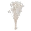 Earth Farms Dry Flower kurisupamu Insert (Approx G) White do030140 – 011 