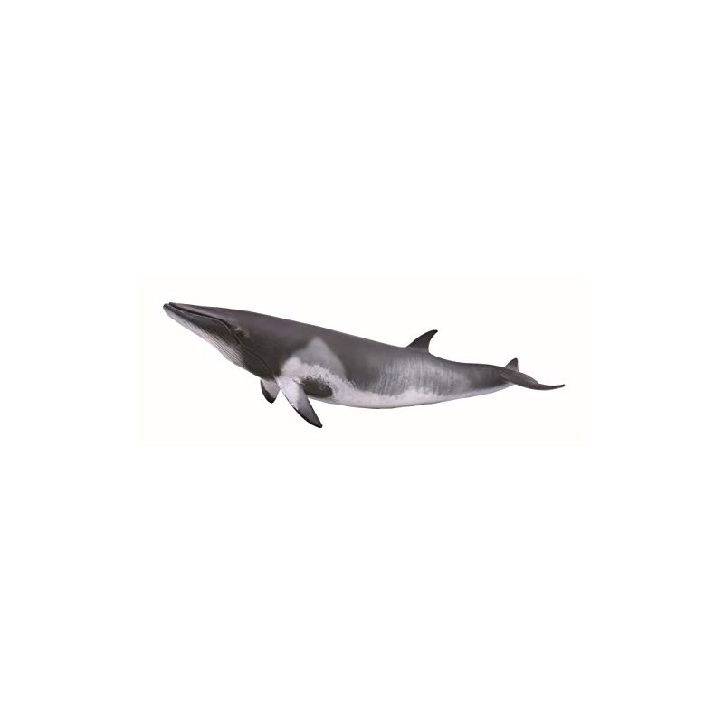 CollectA 88862 Minke Whale Figure