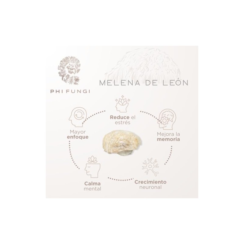 Pellets de Melena de León, Cordyceps, Cola de Pavo, Shiitake