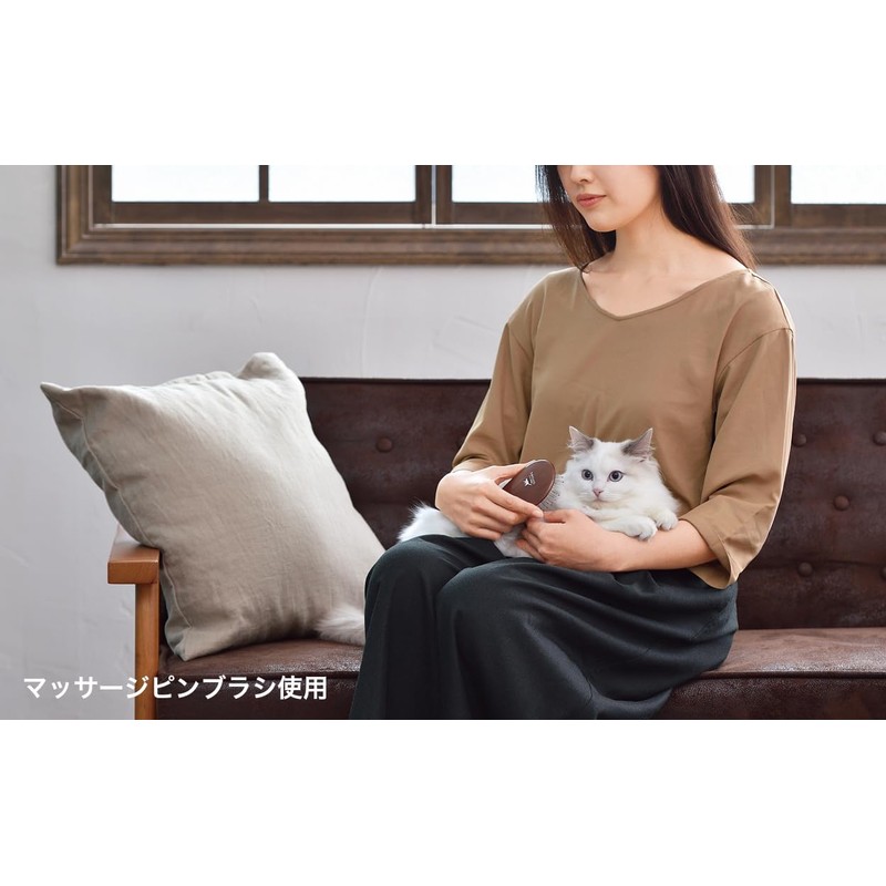 ペティオ (Petio) ネココ のみ捕獲コーム ケース付 猫用