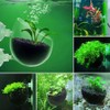 2Pcs Clear Aquatic Plant Cups with Suction Cups, Transparent Acrylic