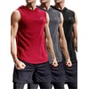 NELEUS 3 Pack Workout Athletic Gym Muscle Tank Top with