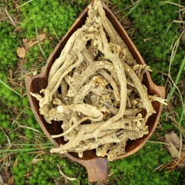 Eternity in a Box Silene Capensis AFRICAN DREAM HERB *Wild Harvested* 4 oz