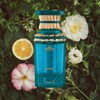 Hamidi The Lost Paradise Collection Exquisite for Unisex Eau de