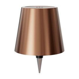 nulmvic Wireless Bottle Lamp, Wine Bottle Lights with 3 Color Temperature, Rechargeable Stepless Dimming LED Bottle Lights for Liquor Bottles, Wireless Lamp for Bedroom Restaurant Bar-Champagne