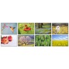 32 Different Flower Photo Blank Greeting Cards