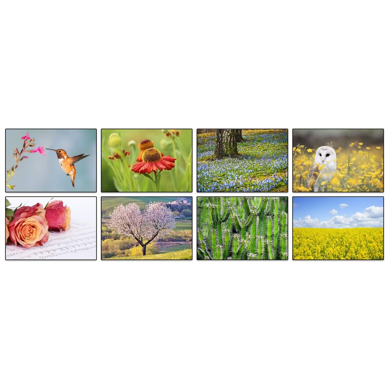 32 Different Flower Photo Blank Greeting Cards