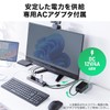 Sanwa Direct 400-HUBA23GM USB Hub, 10 Ports, Self-Powered USB Charger