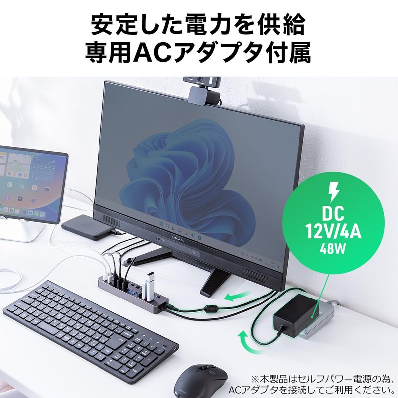Sanwa Direct 400-HUBA23GM USB Hub, 10 Ports, Self-Powered USB Charger