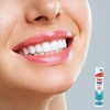 Theramed Toothpaste Dispenser Breath Fresh, 5 Pack (5 x 100