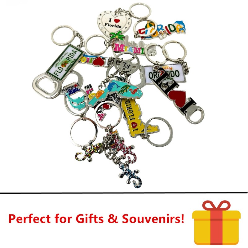 TSY TOOL 12 Pack of Florida State Keychain Metal Ring,