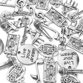 LiQunSweet 100Pcs 10 Styles Musician Charms Musical Instruments Mini Charm for Jewelry Making DIY Craftings
