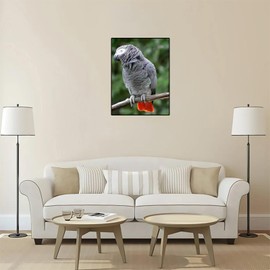 PUAGEMTI Diamond Art Painting African Grey Parrot DIY by Number Full Crystal Cross Stitch Craft Wall Decor Home Gift 12x16 inch