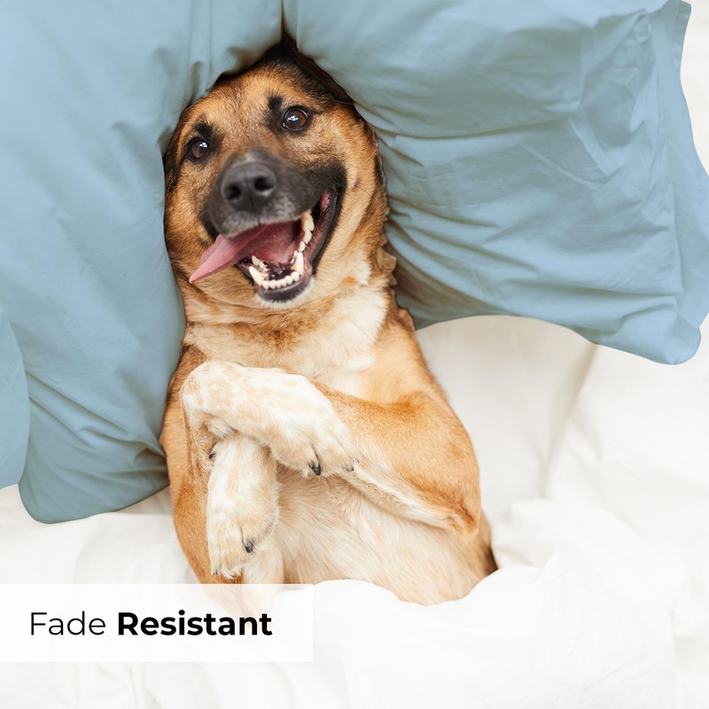 Standard Size Pillow Cases Set of 4 - Extra Soft
