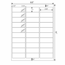 scooloo Address Label 1" x 2-5/8" 900 Labels Sticker Paper for Laser Ink Jet Printer Mailing Labels 8.5"×11" White 30 per Sheet (30)