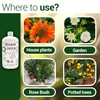 Elm Dirt's Bloom Juice for All Flowering Plants (1-32 oz