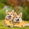 In Training Ignore Dog Leash Sleeve Dot Not Pet Working